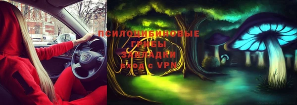 мяу мяу мука Белокуриха