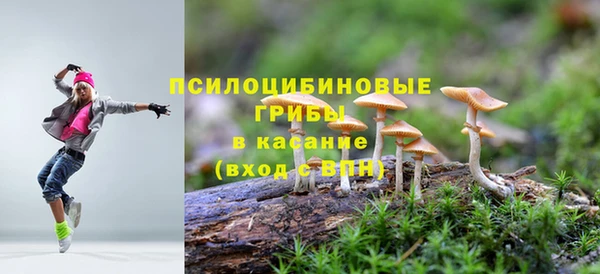 гашишное масло Богданович