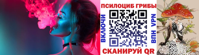 ссылка на мегу ссылка  Малая Вишера  Галлюциногенные грибы GOLDEN TEACHER  цена наркотик 