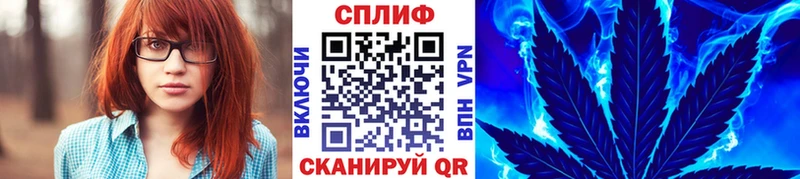 где купить   Малая Вишера  Конопля марихуана 